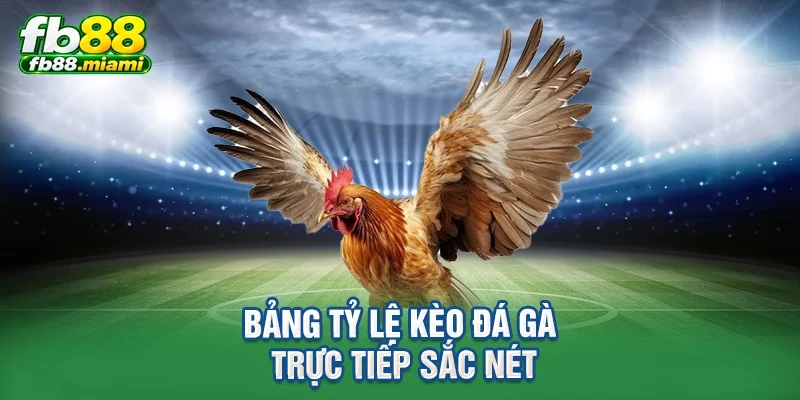 Bảng tỷ lệ kèo đá gà trực tiếp sắc nét