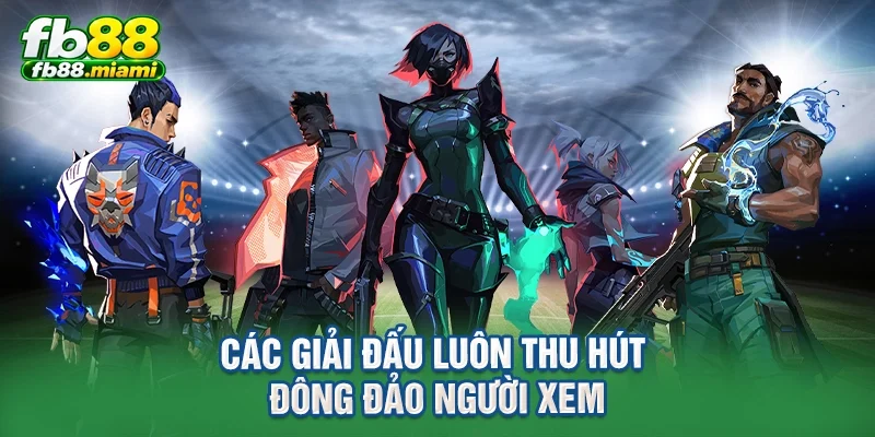 Các giải đấu luôn thu hút đông đảo người xem