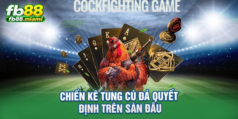 Chiến kê tung cú đá quyết định trên sàn đấu