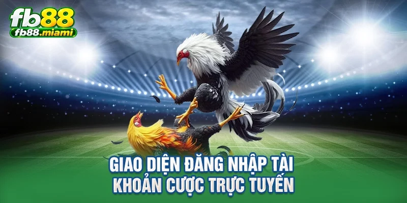 Giao diện đăng nhập tài khoản cược trực tuyến
