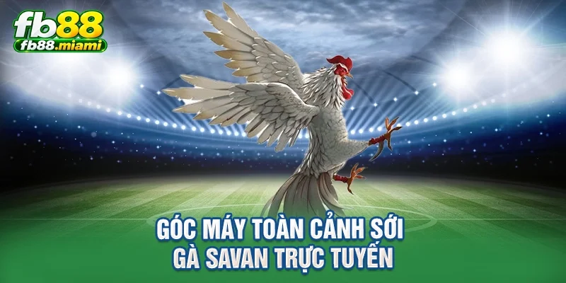Góc máy toàn cảnh sới gà Savan trực tuyến